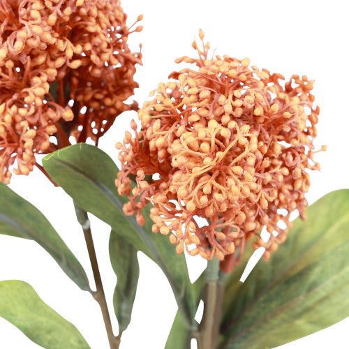 Artículo Skimmie Skimmia Japonica Flores Artificiales Naranja DryLook L59cm