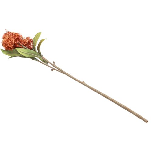 Artículo Skimmie Skimmia Japonica Flores Artificiales Naranja DryLook L59cm