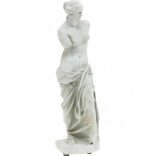 Floristik24 Venus estatua escultura decorativa H29cm gris-marrón figura decorativa jardín