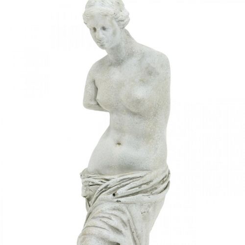 Floristik24 Estatua de Venus escultura decorativa H29cm figura decorativa de jardín gris-marrón