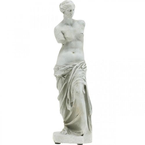 Floristik24 Estatua de Venus escultura decorativa H29cm figura decorativa de jardín gris-marrón