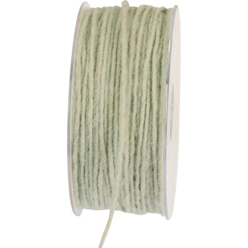 Artículo Cordón de fieltro hilo de lana cordón de lana hilo de mecha menta 100m