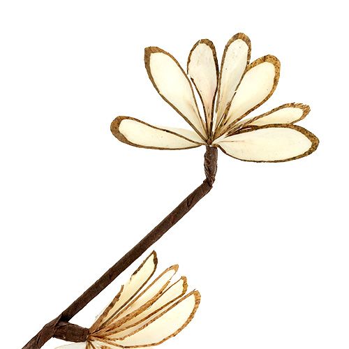 Floristik24 Sola Chips Sunny Stick Marrón, Blanco 6 uds.