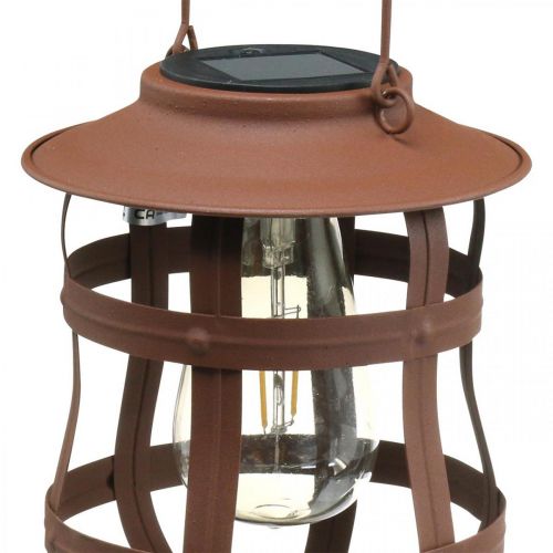 Floristik24 Lámpara decorativa, lámpara para el jardín, farol solar blanco cálido Ø15cm H18cm