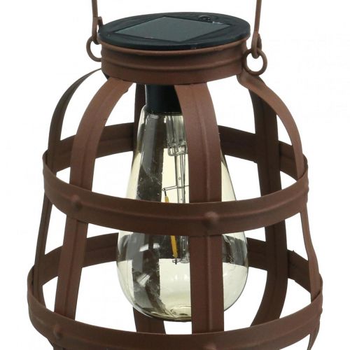 Floristik24 Lámpara solar, luz de jardín, farol decorativo blanco cálido Ø14.5cm H19cm