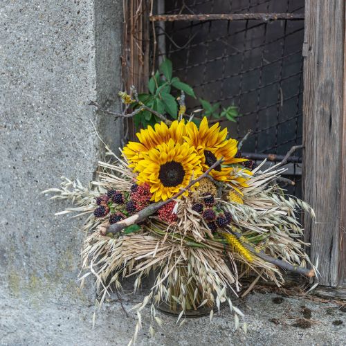 Floristik24 Arbusto de girasol 40cm