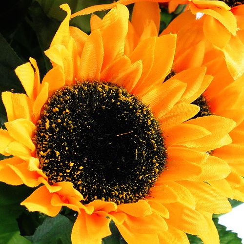 Floristik24 Arbusto de girasol 40cm