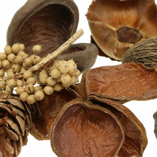 Floristik24 Surtido exótico con conos estroboscópicos nature 300g