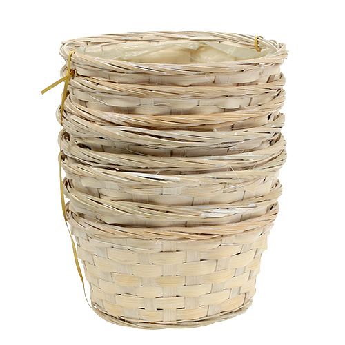 Floristik24 Bandeja de virutas redonda blanqueada 8ud. Ø20cm