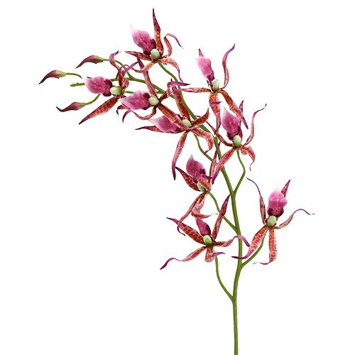Floristik24 Araña orquídeas rosa-naranja 108cm 3pcs