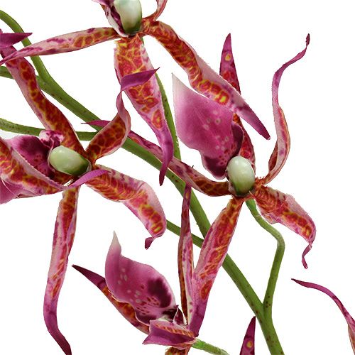 Floristik24 Araña orquídeas rosa-naranja 108cm 3pcs
