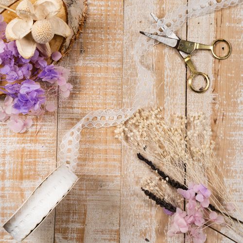 Cinta decorativa con encaje, algodón, borde fino, en rollo, 25 mm de ancho, 10 m de largo. | Floristik24.es