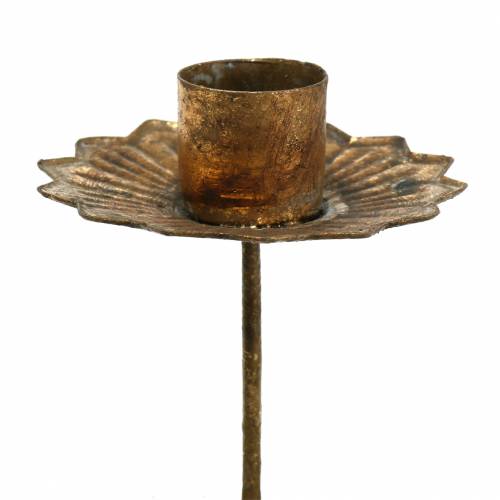 Floristik24 Portavelas Corona de Adviento para pegar portavelas Ø7cm 4ud