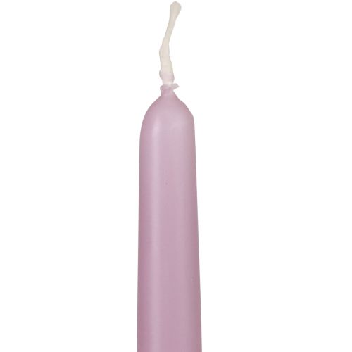 Floristik24 Velas cónicas Velas Wenzel lila 250/23mm 12 piezas
