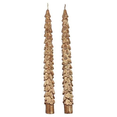Floristik24 Velas Cónicas Velas Metálicas Marrón Velas Navideñas 25cm 2uds