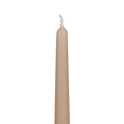 Floristik24 Velas cónicas Velas Wenzel beige 250/23mm 12 piezas