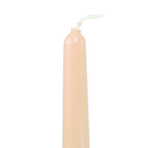 Floristik24 Velas cónicas 250/23 crema 12uds.
