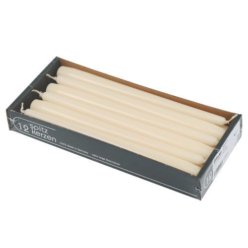 Floristik24 Velas cónicas 250/23 crema 12uds.