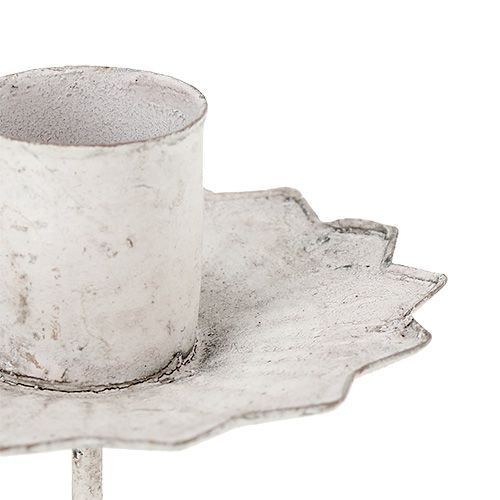 Floristik24 Portavelas cónico para pegar Ø7cm crema 4 piezas