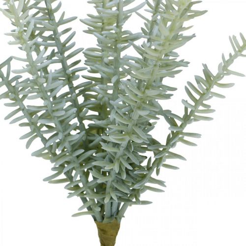 Floristik24 Sprengerie Ornamentales Espárragos Plantas Artificiales Verde 23cm 4pcs