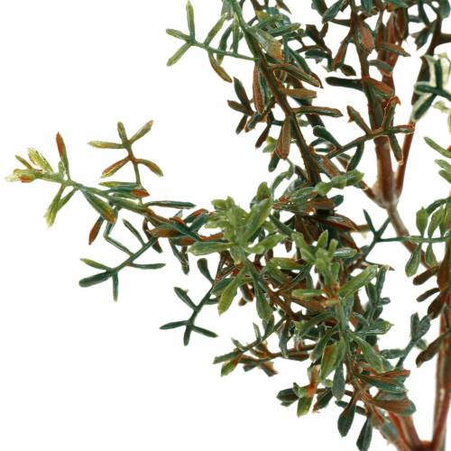 Floristik24 Palillo de tomillo verde artificial 26cm 6pcs