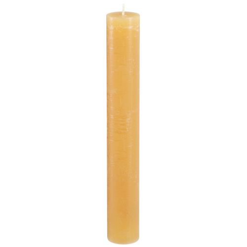 Floristik24 Velas cónicas velas de colores lisos miel 34x240mm 4 piezas