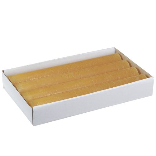 Floristik24 Velas cónicas velas de colores lisos miel 34x240mm 4 piezas