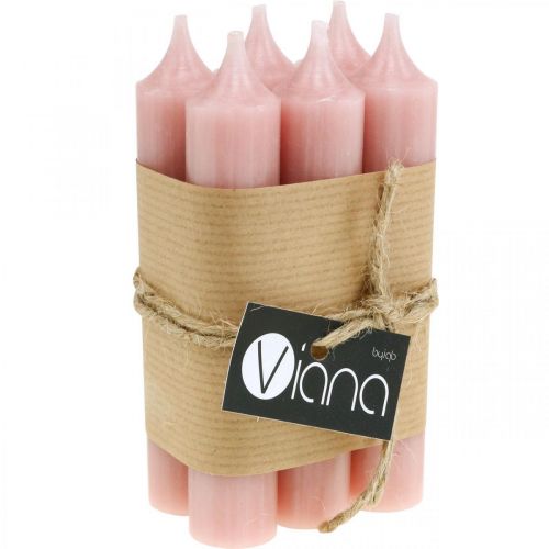 Floristik24 Velas cónicas velas cortas rosa para lazo decorativo Ø21/110mm 6 piezas