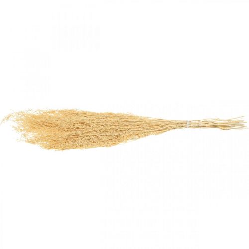Floristik24 Crema de Lavanda de Mar Seca Statice Dry Deco 100g