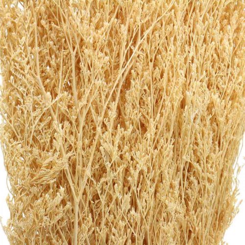 Floristik24 Crema de Lavanda de Mar Seca Statice Dry Deco 100g