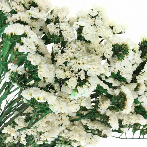 Floristik24 Ramo de flores secas lavanda de mar blanco 40–55cm 120g