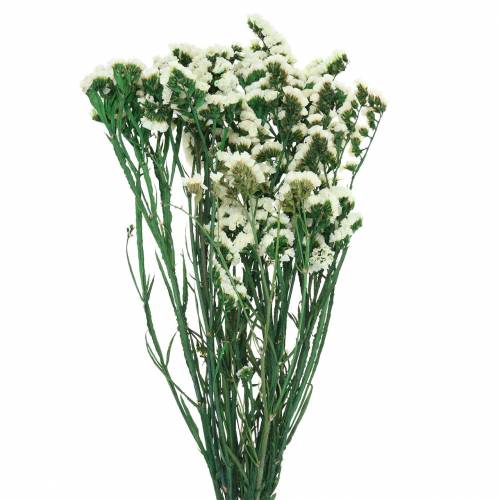 Floristik24 Ramo de flores secas lavanda de mar blanco 40–55cm 120g