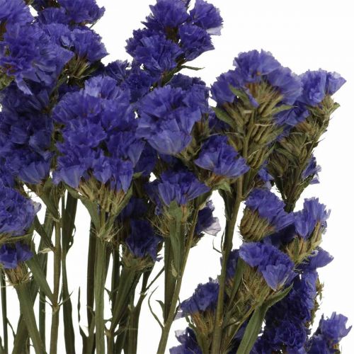 Artículo Ramo de Lavanda Marina, Flores Secas, Lavanda Marina, Statice Tatarica Azul L46–57cm 23g