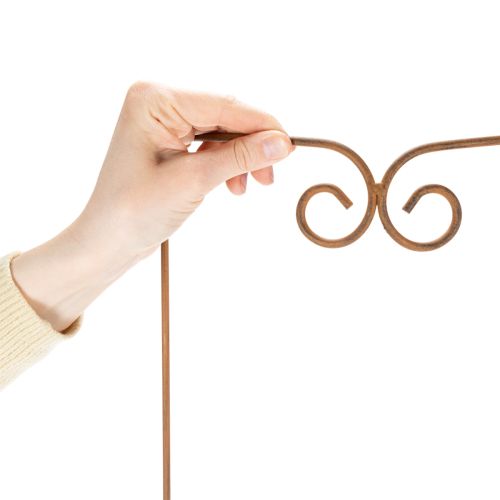 Artículo Enrejado, ayuda para trepar, elemento decorativo curvo para macizos de flores y macetas, 75 cm