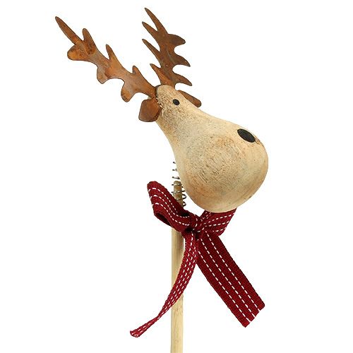 Floristik24 Plug Moose Nature, Blanco 7cm L30cm 8pcs