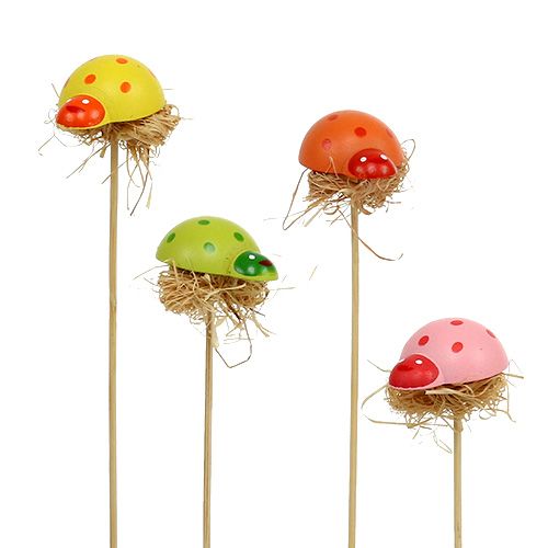 Floristik24 Enchufe decorativo mariquita madera primavera decoración maceta 36 piezas