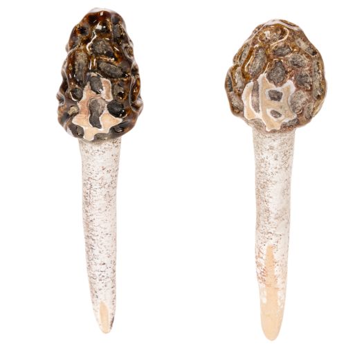 Estaca decorativa artificial con forma de seta morilla para macetas y mesa, 13 cm, 2 unidades. | Floristik24.es