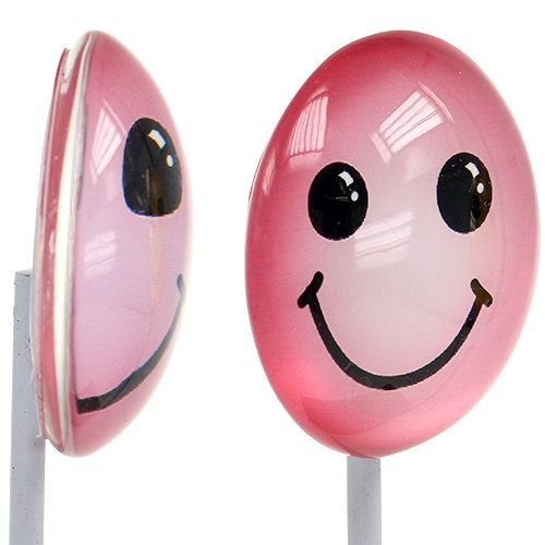 Floristik24 Deco emoticon on stick colores surtidos 3,5cm 8uds