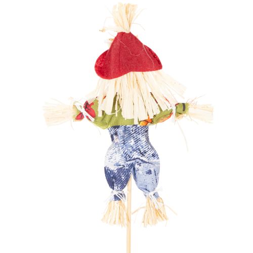 Espantapájaros con estacas para arreglos florales, 37 cm, 6 unidades | Floristik24.es