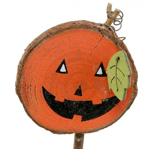 Floristik24 Plug Pumpkin Nature, Naranja 8cm 12pcs