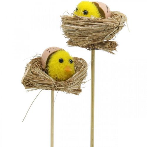 Floristik24 Tapón decorativo pollitos en el nido Decoración de Pascua para taponar Ø6cm 6 piezas
