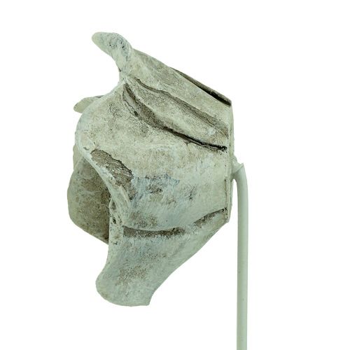 Floristik24 Rosas plug surtidas. Ø5,5cm L19cm 4 piezas