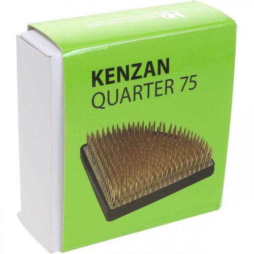 Artículo Erizo enchufable Kenzan ayuda para la inserción de cuartos latón plateado 80×80mm