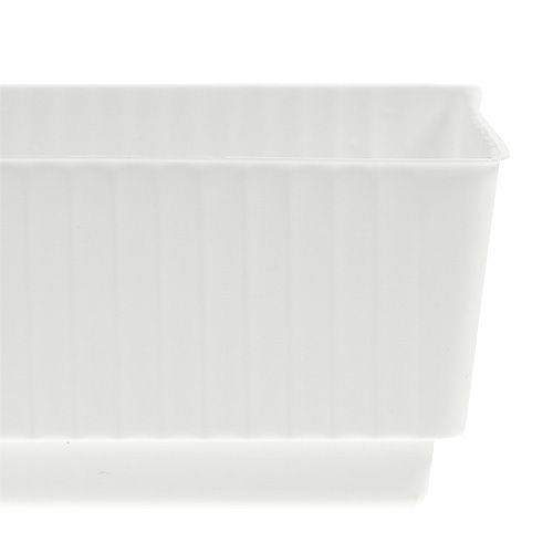 Artículo Bandeja de enchufe espuma húmeda 23 x 8 x 4,5 blanco 10 piezas