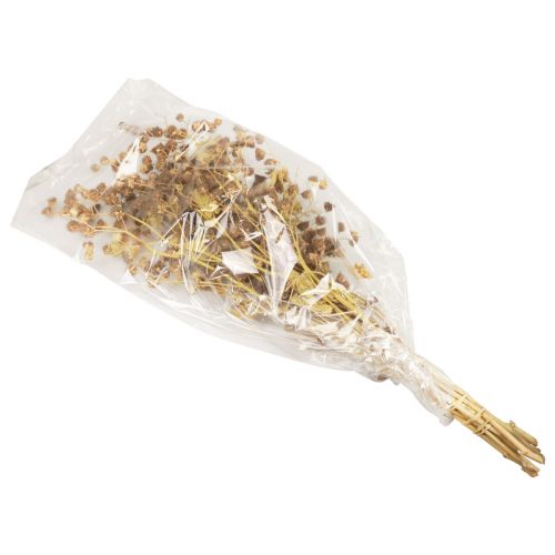 Artículo Flores secas decoración ramas decorativas Stefani rama 95cm 200g