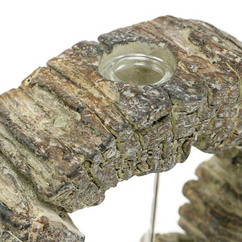 Floristik24 Jarrón de hormigón con anillo de probeta Ø16cm