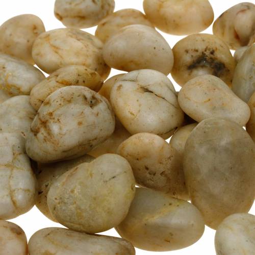 Floristik24 Guijarros de río crema natural 2-4cm 1kg