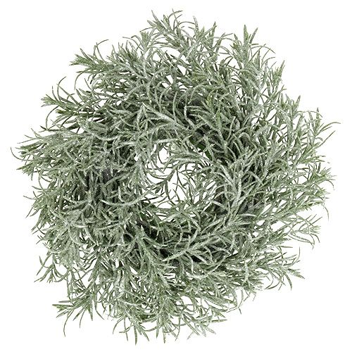 Floristik24 Corona decorativa Ø30cm con purpurina verde
