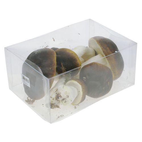 Floristik24 Hongo porcini marrón H8cm - 20cm 6pcs