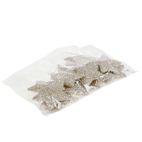 Floristik24 Estrella con mica champagne 7,5cm 12uds